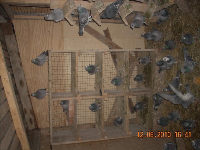 DSCN1182[1] - 3PORUMBEII MEI