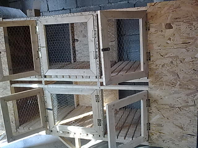 Cusca 6 compartimente