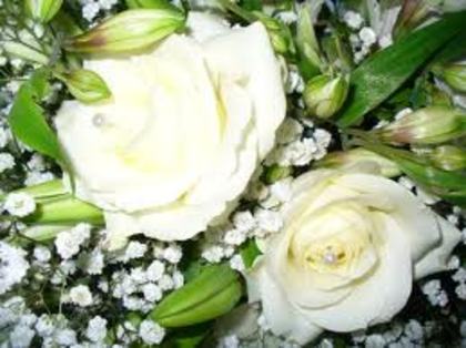 images (14) - poze flori