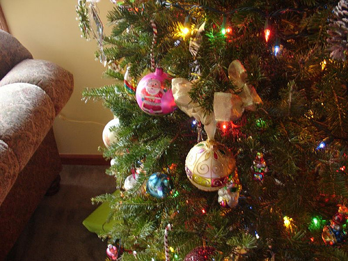 3941493870_1949390a88 - imagini de Craciun