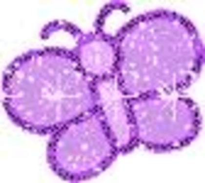 images (13) - fluturi