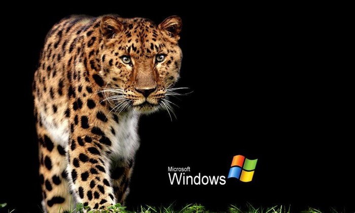 xp-leopard - poze windows desktop