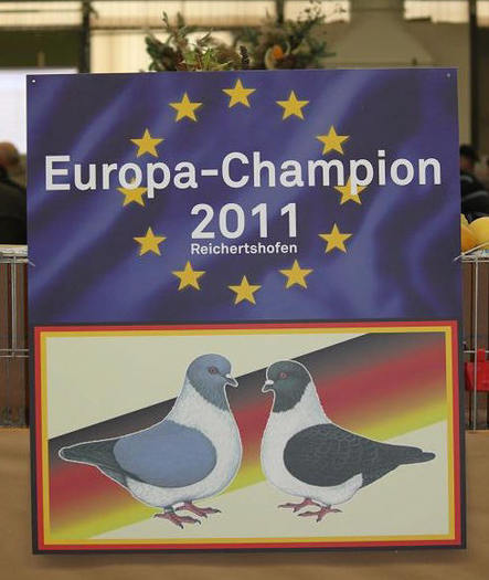 0.1 jung blau ohne Binden; 55. Hauptschau &amp;amp;amp; 2. Europaschau Reichertshofen 2011
