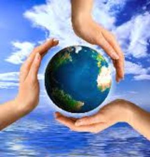 images (16) - SALVATI LUMEA