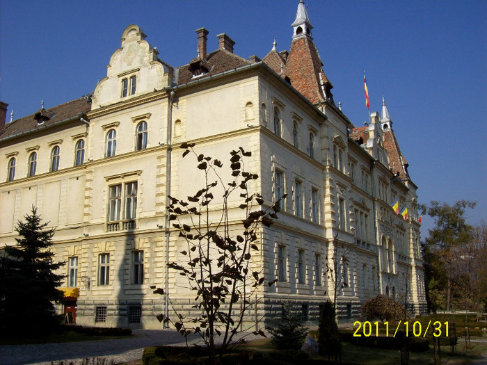 PRIMARIA  SIGHISOARA