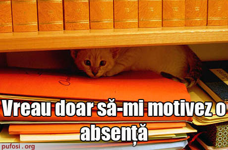 poze-amuzante-poza-amuzanta-pisica-vrea-sa-isi-motiveze-absentele-la-scoala