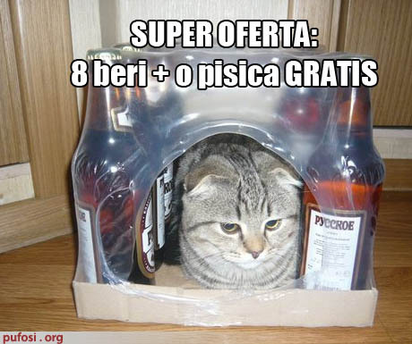 pisica-la-super-oferta