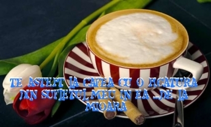  - CAFEA CU DEDICATIE PRIETENILOR MEI  6