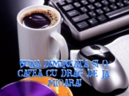 49174977_ENFCUMDRP