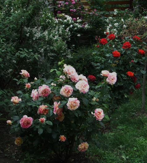claude monet (2)