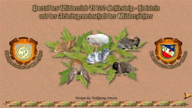 aici gasiti berbeci din toate rasele - 4atentie cind cumparati iepuri