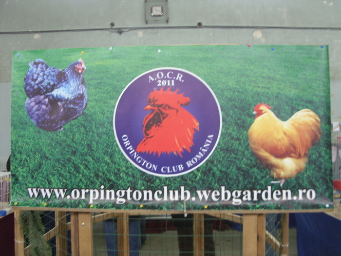 un club nou in Romania - 7-anunt important
