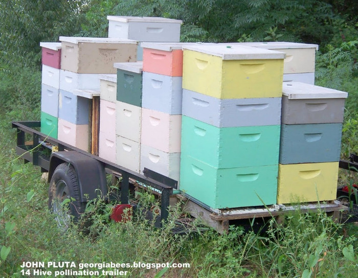 14 Bee Hive pollination trailer,GA Beekeeper,John Pluta,Georgia - HIVES IN THE WORLD
