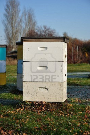 5936216-morning-light-on-white-langstroth-bee-hive-beehive - HIVES IN THE WORLD