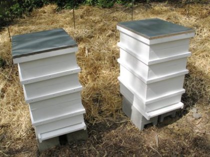 beehives - HIVES IN THE WORLD