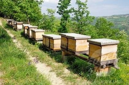 SuperStock_3153-707747