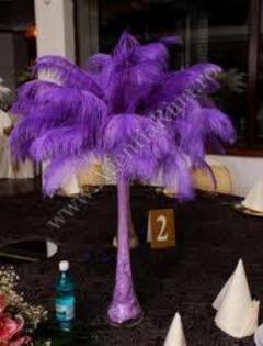 images (39) - poze mov