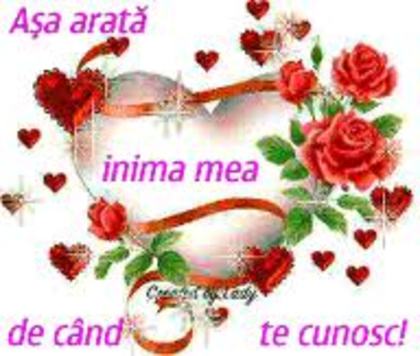 images (68) - poze inimi