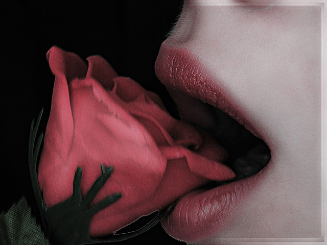 58970839_14e8d4a188_z