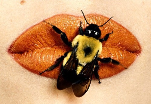 bug,lips,orange,scary,bee,hot-ef4582aa18d5530c758098d423028373_h - Buze