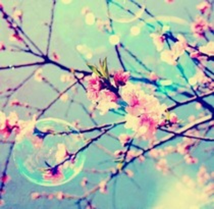 47254775_NBVJVJJIV - O-0 poze artistice