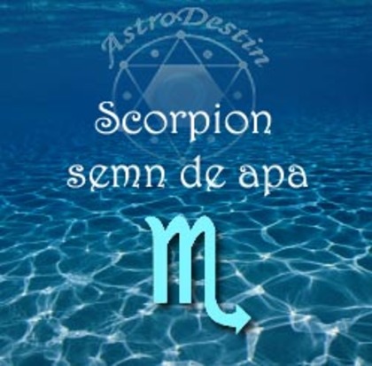 2411 - Zodia Scorpion