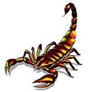 119607139265 - Zodia Scorpion