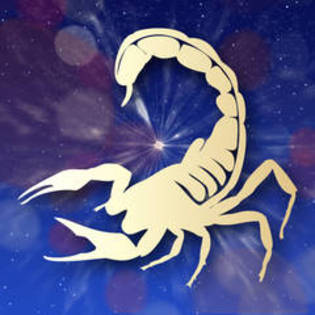 -b-Zodiac-Scorpion--b- - Zodia Scorpion
