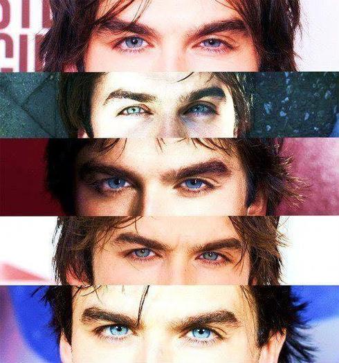 390177_319855214695103_205311116149514_1419902_1893163664_n_large - Ian Somerhalder