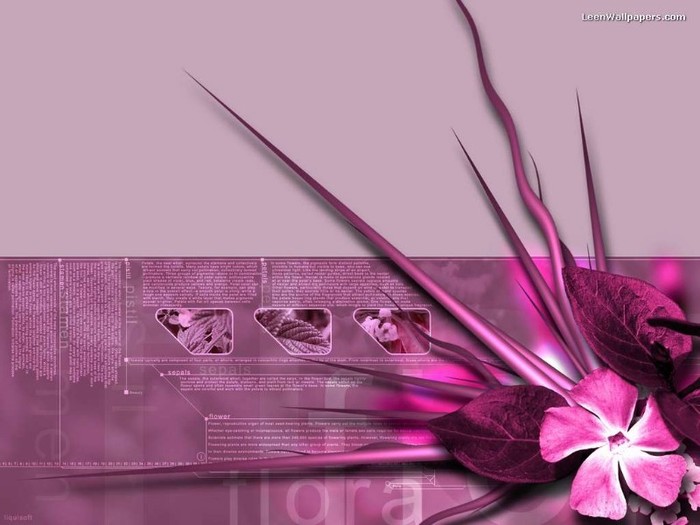 Pink3D - Wallpapers pink