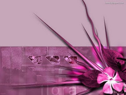 Pink wallpapers  2 - Wallpapers pink