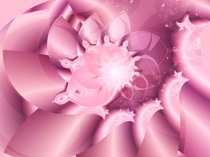 Pink-wallpaper-pink-color-10579490-800-600 - Wallpapers pink