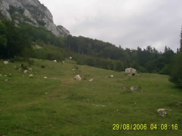 CHEILE RASNOVULUI