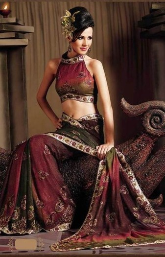 2011-2012-saree-blouse-2 - saree indian