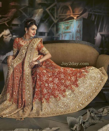 2011-beautiful-lehenga-choli-design-picture - saree indian