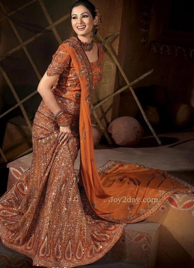 2011-bridal-lehenga-choli-design-picture - saree indian