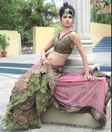 2011-lehenga-blouse-picture - saree indian