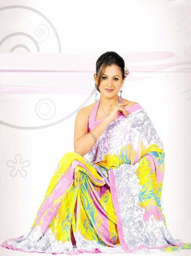 colorful-silk-sarees-design-for-ladies-2011