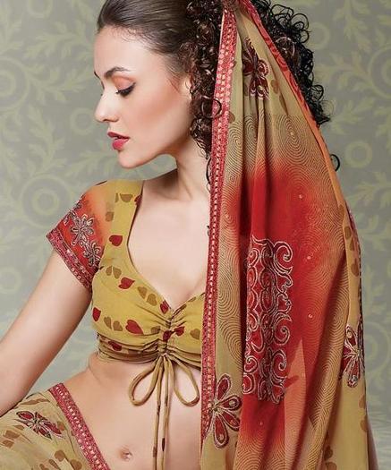 New-Saree-Blouse-Designs-20112 - saree indian
