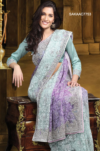 Plush-Dual-Shaded-Net-Saree-SAKAAC7753-b