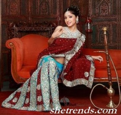 saree-blouse-2011 (2)