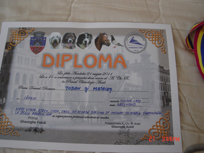 Diploma Tea - Zilele Aradului 2011 - Cateaua mea