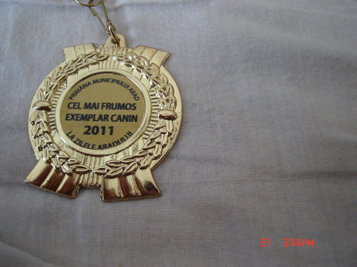 Medalie Tea - Zilele Aradului 2011 - Cateaua mea