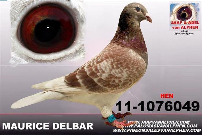 cb4d12c63de05f898d4e32652142ece4