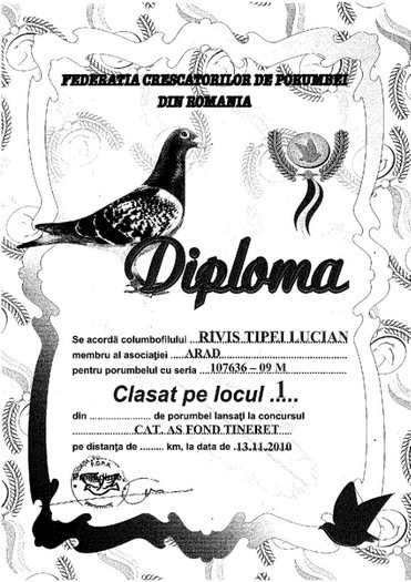 Asu diploma