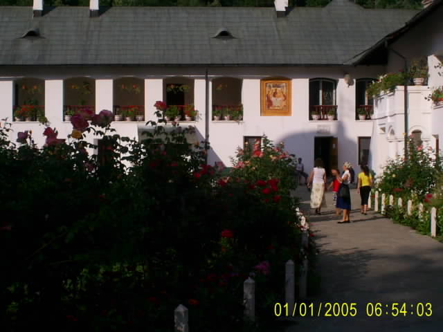Picture 581