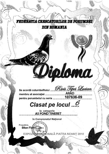 Asu diploma 1 - Despre matca