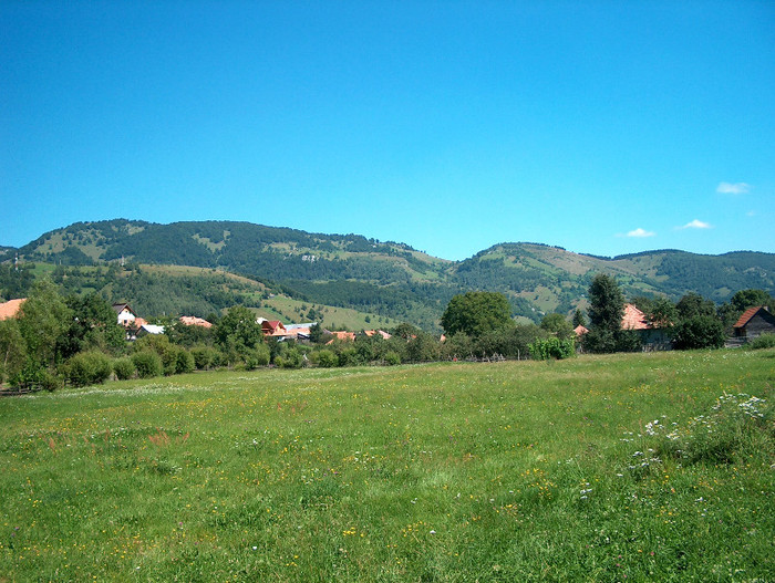151. Vedere spre Magurice. - MOIECIU III - foto mai vechi