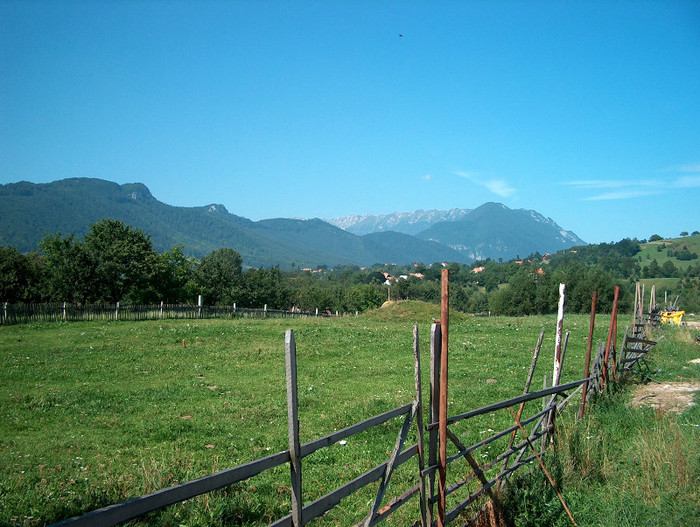 156. PIATRA CRAIULUI vz.de la Wolf.