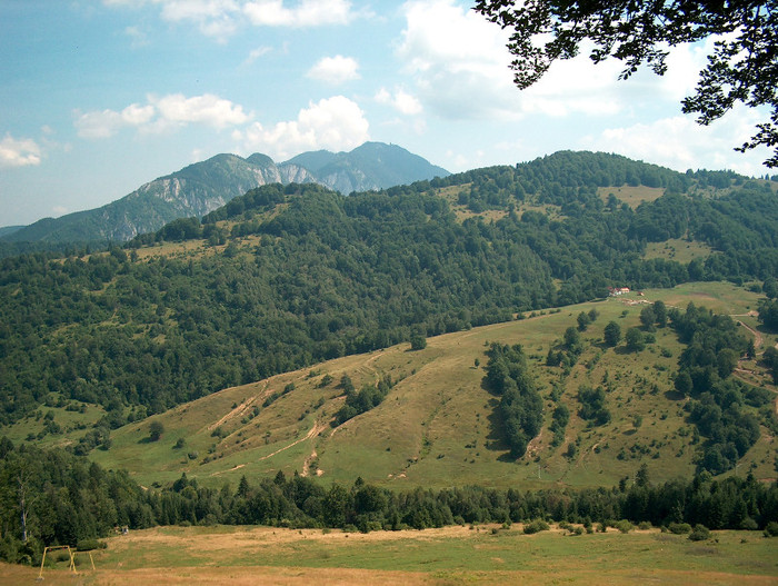 167. Postavarul vz.de la Paraul Rece.